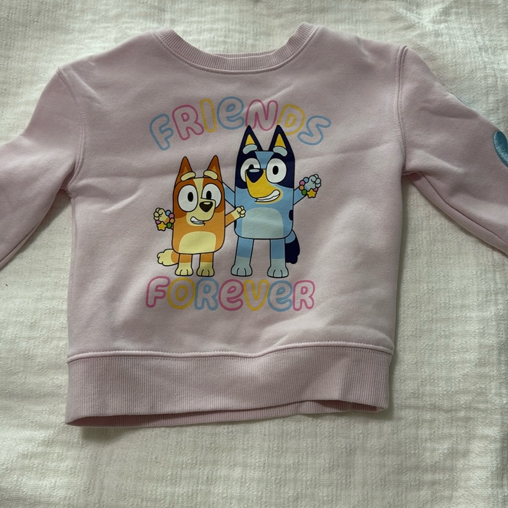 Bluey Friends forever sweat shirt
